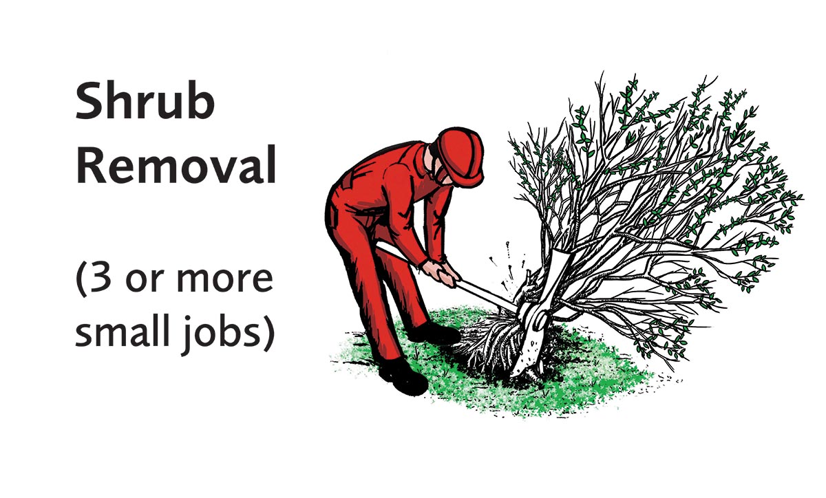 Shrub Removal