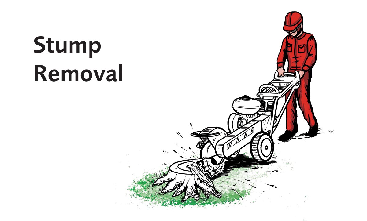 Stump Removal